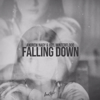 Falling Down (Single)
