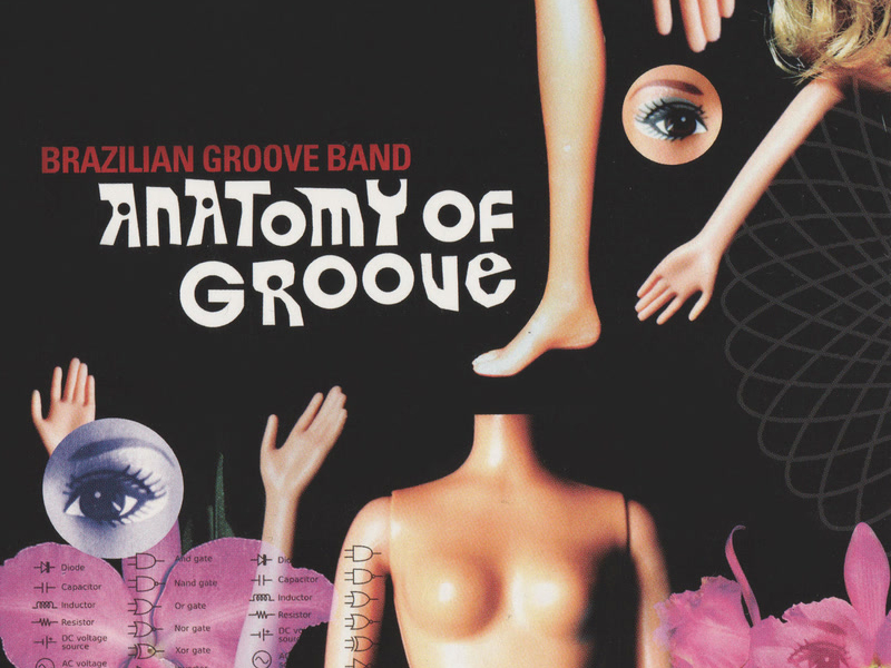 Anatomy Of Groove