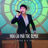 Hoa Cài Mái Tóc (Remix (Ytmix)) (Single)