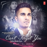 Can't Forget You (Tujhe Bhula Diya) (Single)