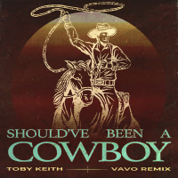 Should've Been A Cowboy (VAVO Remix) (Single)