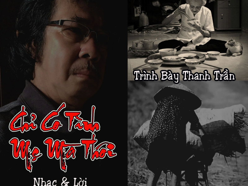 Chỉ Có Tình Mẹ Mà thôi (Single)