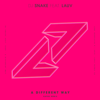 A Different Way (Kayzo Remix) (Single)