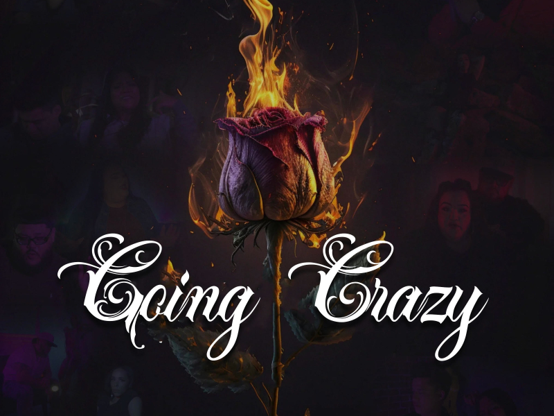 Going Crazy (feat. Profit Man & Misz Sassy) (Single)