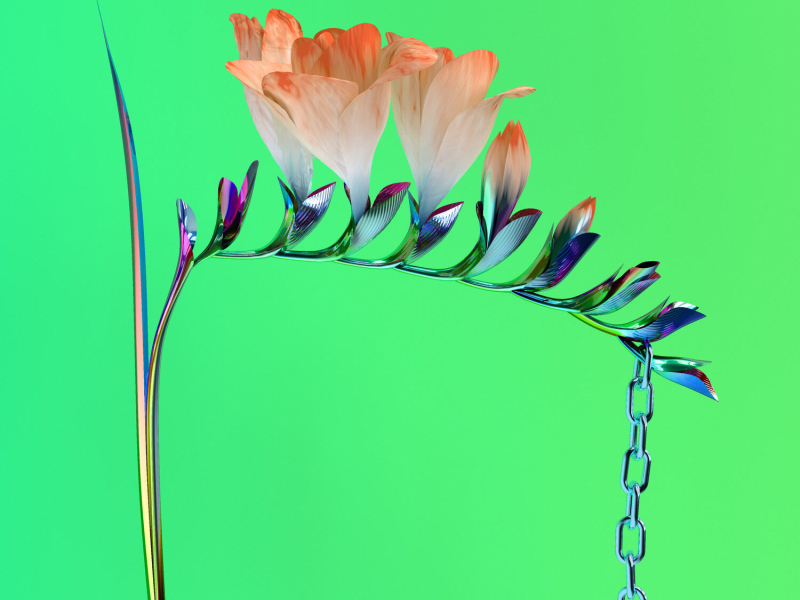 Skin Companion EP I (EP)