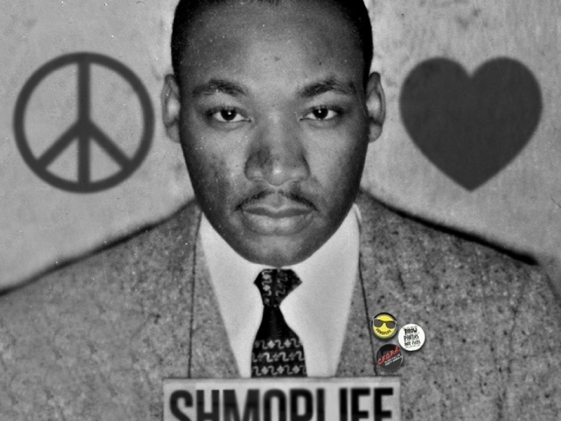 Peace, Love, Shmoplife