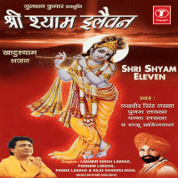 Shree Shyam Eleven