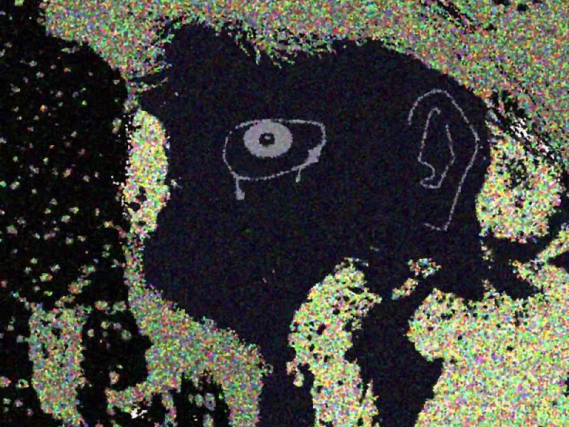 走疯狂GO CRAZY（Prod.SSR Studio） (Single)