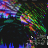 Run Wild / Feeling Forever (EP)