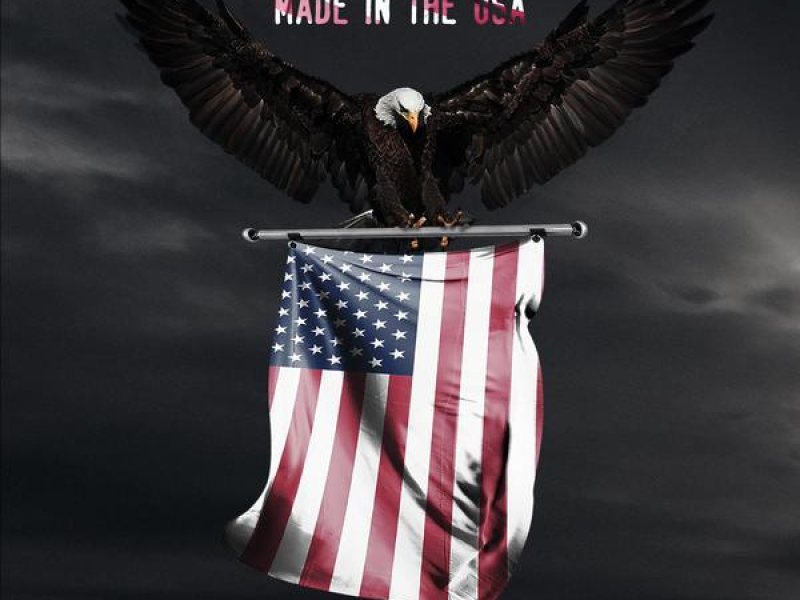 Made in the USA