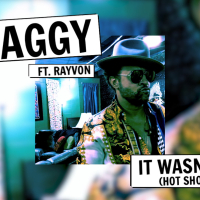 It Wasn't Me (Hot Shot 2020) (Audio) (MV) (Single)