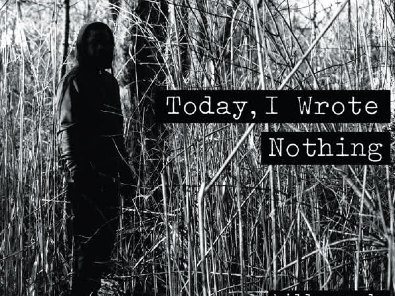 Today, I Wrote Nothing