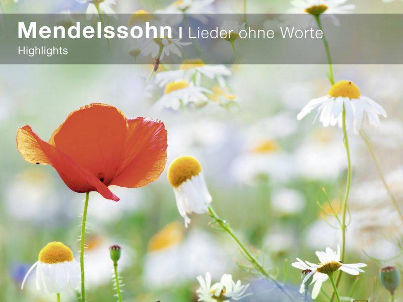 Mendelssohn: Songs Without Words