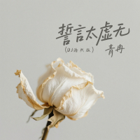 誓言太虚无 (DJ浩然版) (Single)