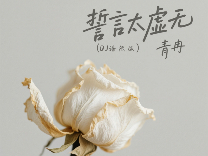 誓言太虚无 (DJ浩然版) (Single)