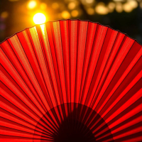 folding fan (Single)