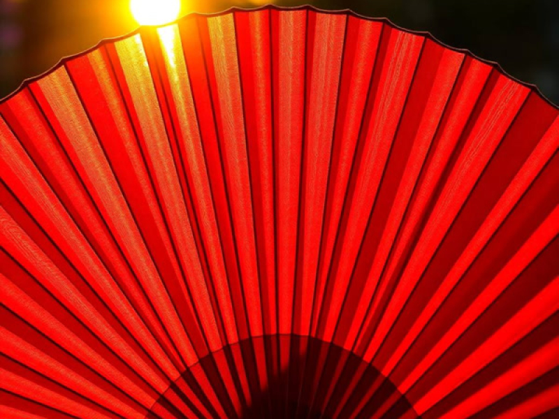 folding fan (Single)