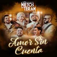 Amor Sin Cuenta (Single)