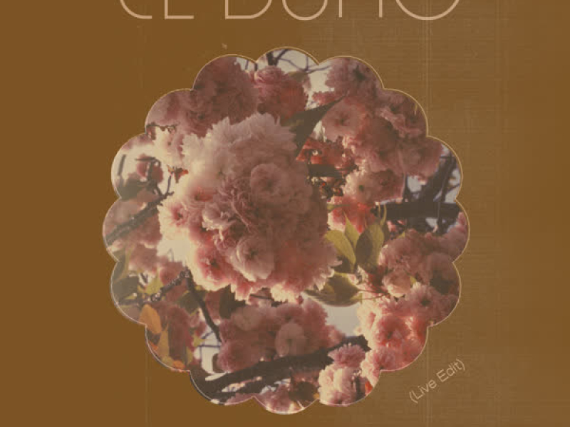 Mirando el Fuego (Live Edit) (Single)