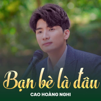 Bạn Bè Là Đâu (Single)