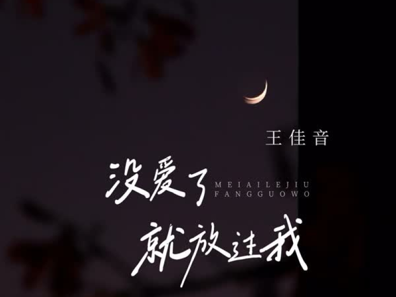 没爱了就放过我 (Single)