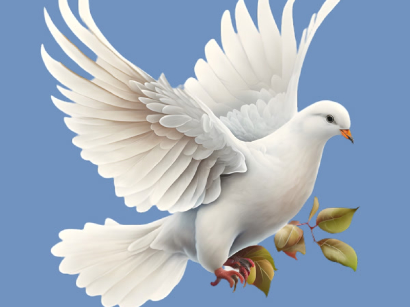 เราต้องการความสงบสุข (Single)