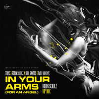In Your Arms (For An Angel) (Robin Schulz VIP Mix) (Single)