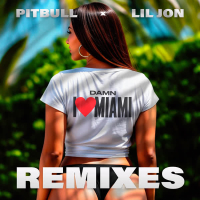 Damn I Love Miami (Remixes) (EP)