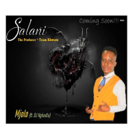 Mjolo (feat. DJ Nghundla) (Single)