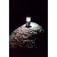 Courting You (Single)