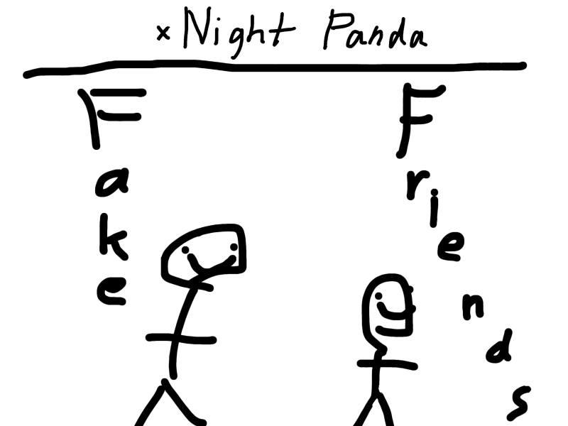 Fake Friends (Single)