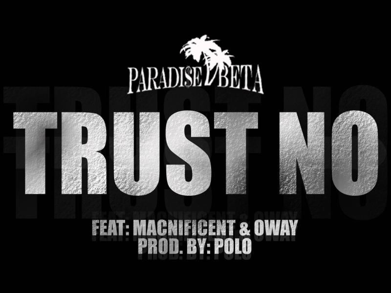 Trust No (feat. Macnificent & Oway)