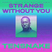 Strange Without You (Sunnery James & Ryan Marciano Remix) (Single)