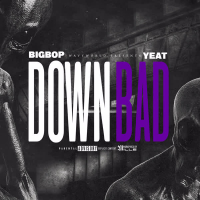 Down Bad (Single)