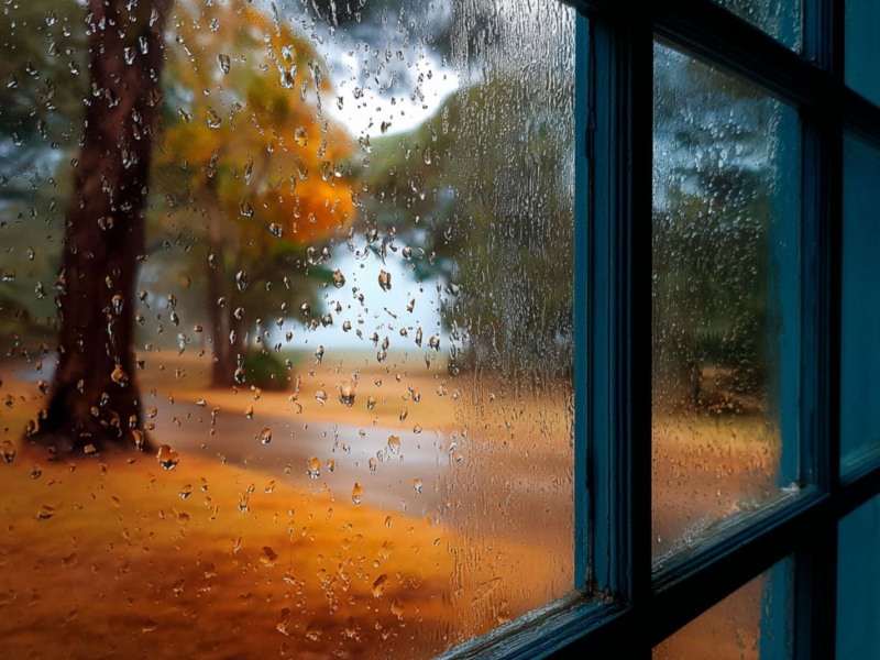 Rain Fall on a Window in Australia (Single)