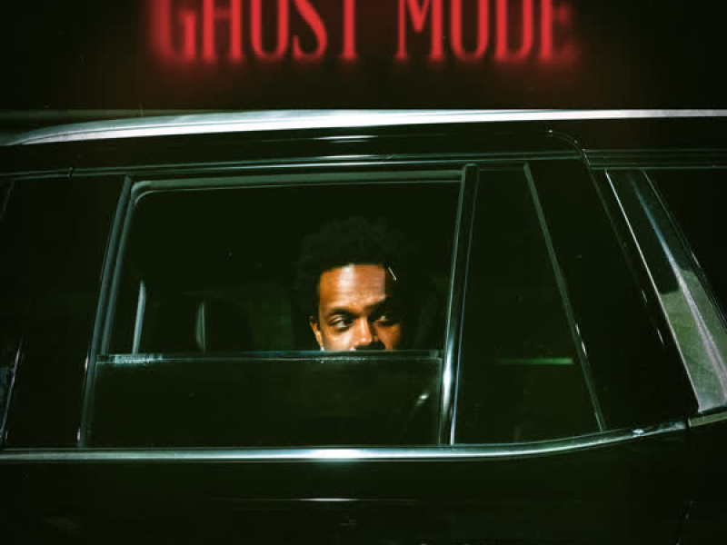 Feel How I Look (Single)