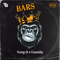 Bars (Single)