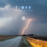 Sweet Storm (Single)
