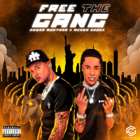 Free The Gang (Single)