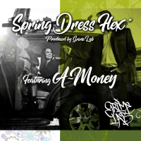 Spring Dress Flex (feat. A-Money) (Single)