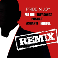 Pride N Joy Remix (feat. Trey Songz, Pusha T, Ashanti & Miguel)