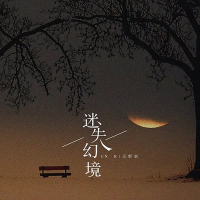 Lạc Trong Ảo Ảnh / 迷失幻境 (Single)