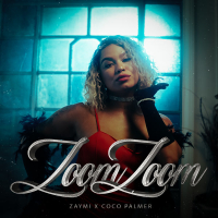 Zoom Zoom (Single)