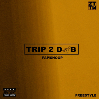 Trip 2 DXB (Single)