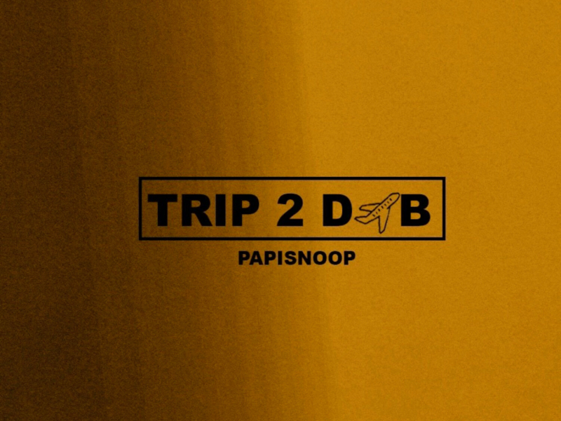 Trip 2 DXB (Single)