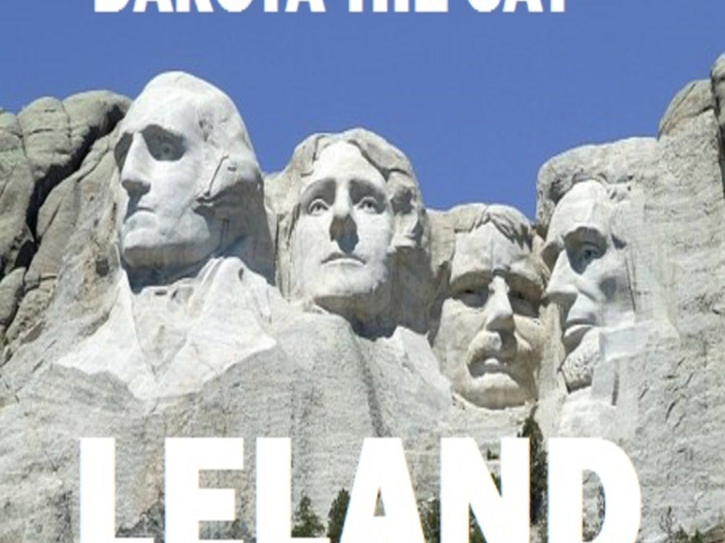 Dakota the Cat (Single)