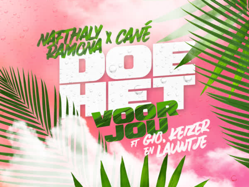 Doe Het Voor Jou (Single)