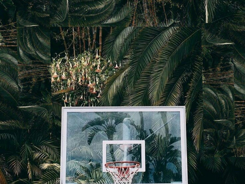 Jungle Fever [feat. Genio Bambino & Odunsi [The Engine])