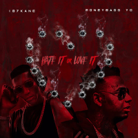 Hate It or Love It (Single)