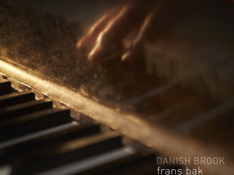 Danish Brook (Single)